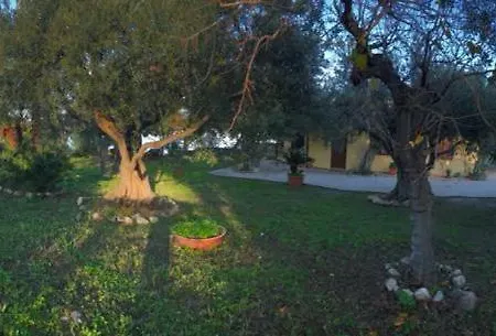 Apartment L'ulivo In Greco