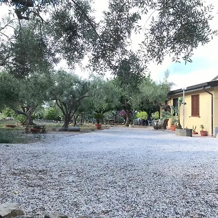 Apartment L'ulivo In Greco