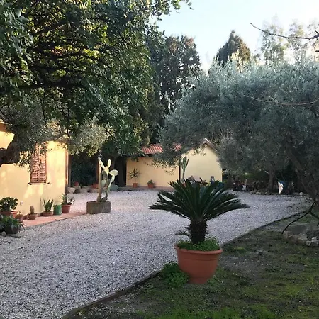 Apartment L'ulivo In Greco *