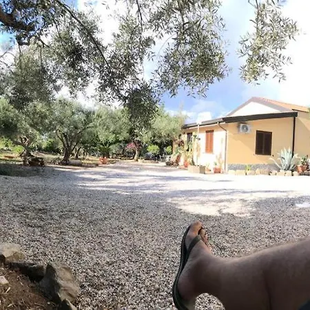 L'ulivo In Greco Tindari