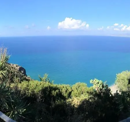 L'ulivo In Greco * Tindari