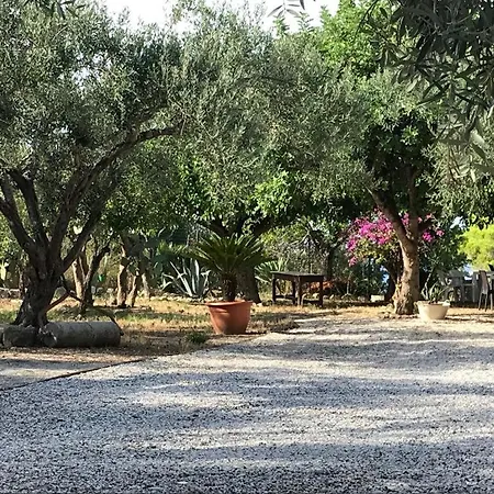 Apartment L'ulivo In Greco *