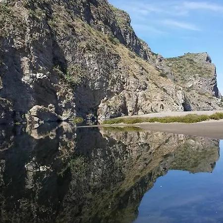 L'ulivo In Greco *