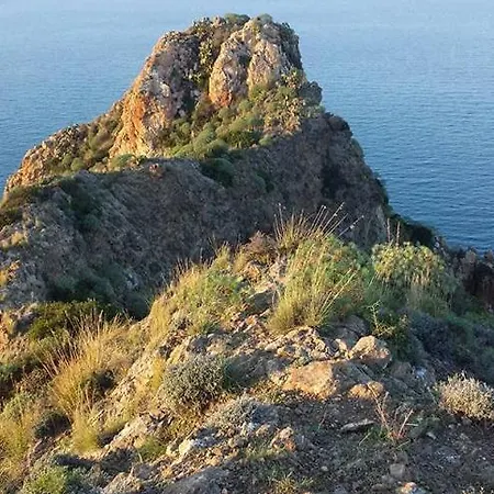 L'ulivo In Greco * Tindari
