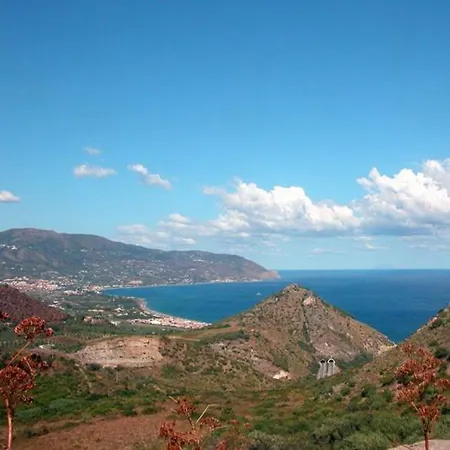 L'ulivo In Greco Tindari