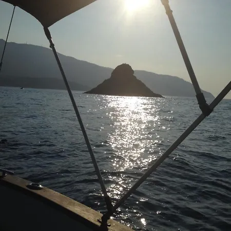 L'ulivo In Greco *