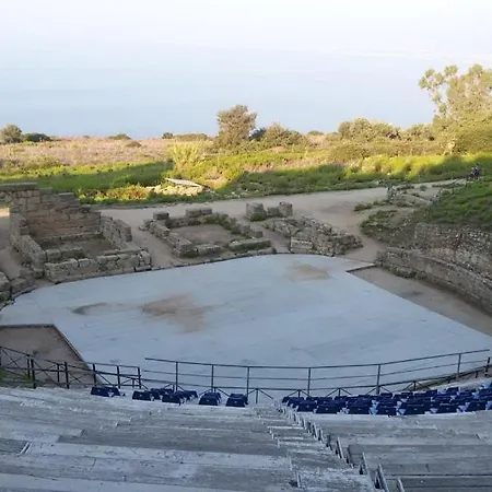 L'ulivo In Greco *