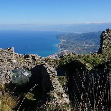 L'ulivo In Greco *