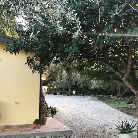 Διαμέρισμα L'ulivo In Greco Tindari