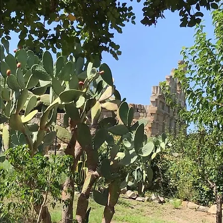 L'ulivo In Greco Διαμέρισμα