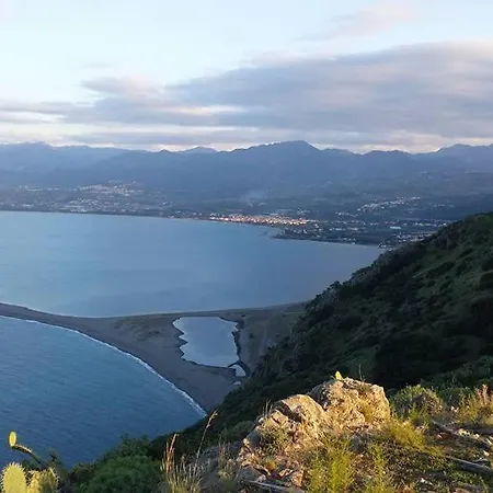 L'ulivo In Greco *