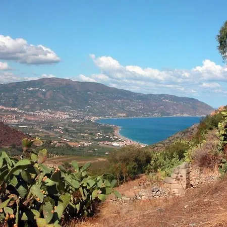 L'ulivo In Greco *