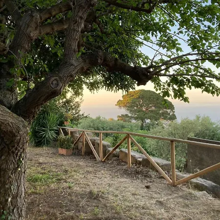 L'ulivo In Greco Apartman Tindari