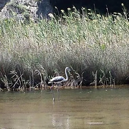 L'ulivo In Greco Διαμέρισμα