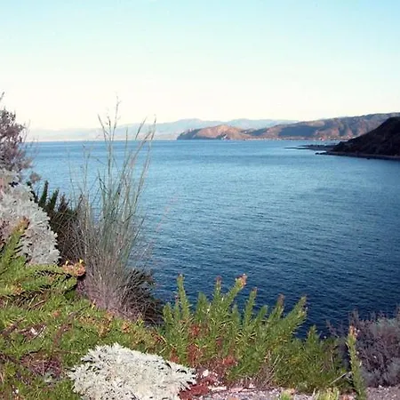 Apartman L'ulivo In Greco